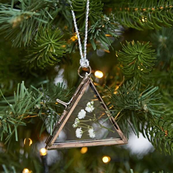 Christmas-Alia-Triangular-Glass-Frame-Silver-NTFS-LR