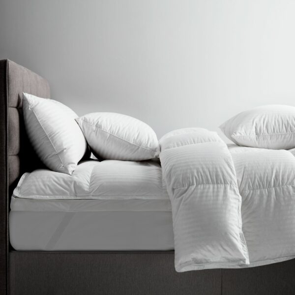 000443788alt3
