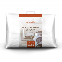 1000261504