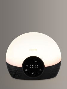 237580841alt2