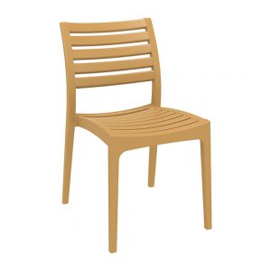 albany-polypropylene-glass-fiber-dining-chair-teak