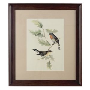 agatiyo-framed-birds-2-wall-art-multi-coloured