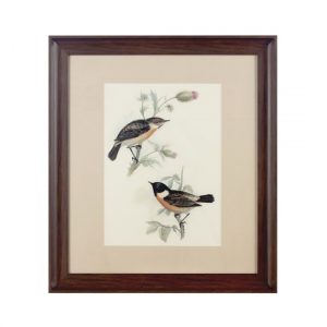 agatiyo-framed-birds-wall-art-assorted