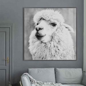 cursa-alpaca-picture-glass-wall-art