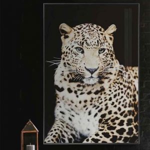 cursa-cheetah-picture-glass-wall-art
