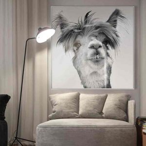 cursa-llama-picture-glass-wall-art