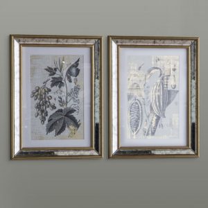 kotzebue-botanical-studies-set-of-2-wall-art-gold-grey
