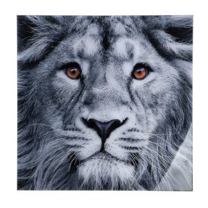 lion-head-picture-acrylic-wall-art-black-white