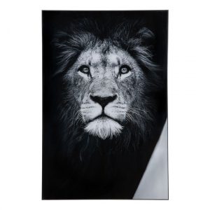 lion-picture-acrylic-wall-art-black-white