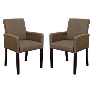 saiph-brown-fabric-upholstered-carver-dining-chairs-pair