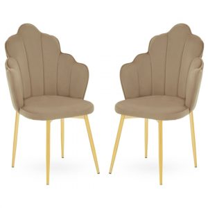 tania-mink-velvet-dining-chairs-gold-legs-a-pair