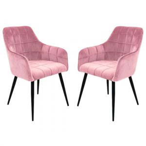 vernal-blush-velvet-dining-chairs-black-legs-pair