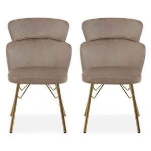 vinita-upholstered-mink-velvet-bedroom-chairs-a-pair