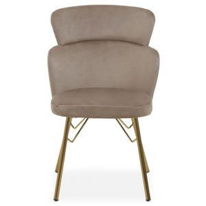 vinita-upholstered-velvet-bedroom-chair-mink