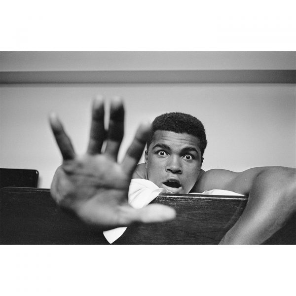 give_me_five_20x24_87d96431-a5d6-4b16-ac0f-00831b21012a