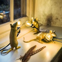 Christmas Collections from Graham and Green, MySmallSpace UK
