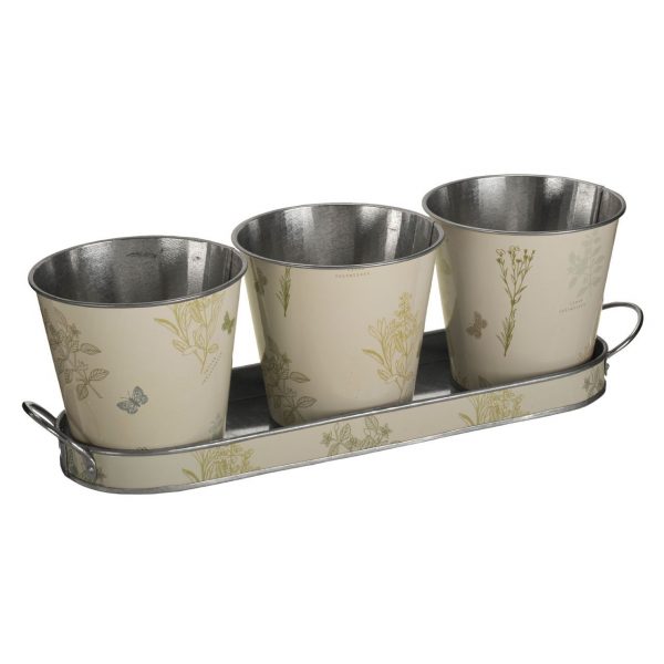 SetofPlantPots_Tray20221