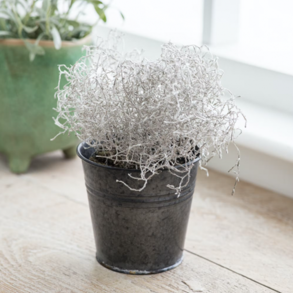 SmallBlackMetalPlantPot01