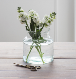 Wide_Based_Glass_Vase