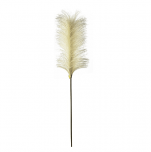 tall-feather-stem-cream-pack-of-5-27991-p