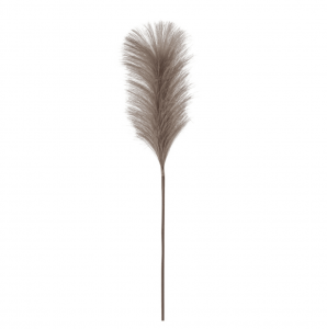 tall-feather-stem-dark-blush-pack-of-5-27989-p