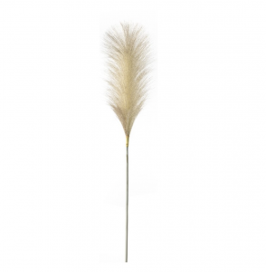 tall-feather-stems-blush-pack-of-5-27987-p