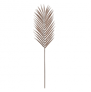 tall-palm-stems-brown-pack-of-3-27983-p