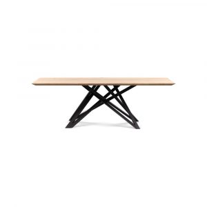 1_0_1070401