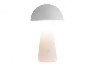 38505_sam_1