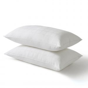 TIS_Ultimate-Pillow-Pair_1