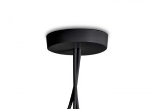 aim-ceiling-rose-black-14x10_3