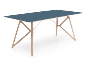 fawn-tink-blue-2