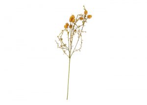 meadow-pom-pom-faux-stem