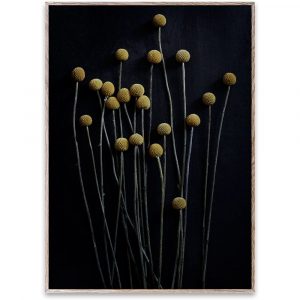 s_t_still-life-01_pia-winther_oak