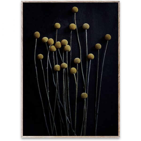 s_t_still-life-01_pia-winther_oak