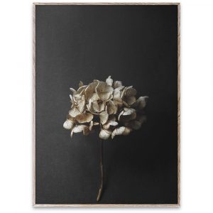s_t_still-life-04_pia-winther_oak