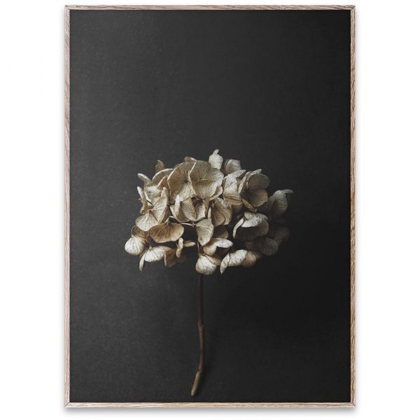 s_t_still-life-04_pia-winther_oak