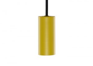 spin-celery-cut-out_1