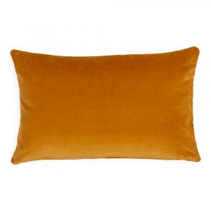 v_e_velvet_cushions_-6307_2_1