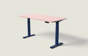pink_160_Desk_One_-_new_angle_for_images_34