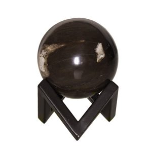 114055-petrified-wooden-sphere-geometric-medium-2a