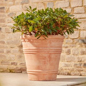 Amara_Large_Terracotta_Pot