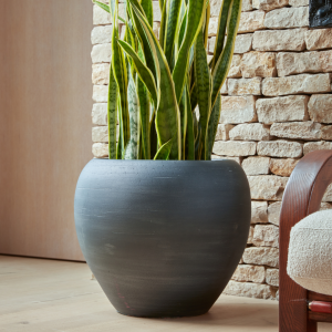 Amora_Indoor_Plant_Pot_in_Black