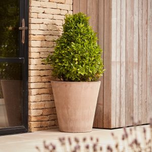 Borge50cmlargegreyterracottagardenplanteratgardenesque