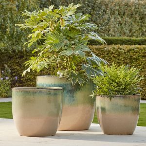 CelineGreenCreamReactiveGlazeRoundedGlazedPlantPotGroup