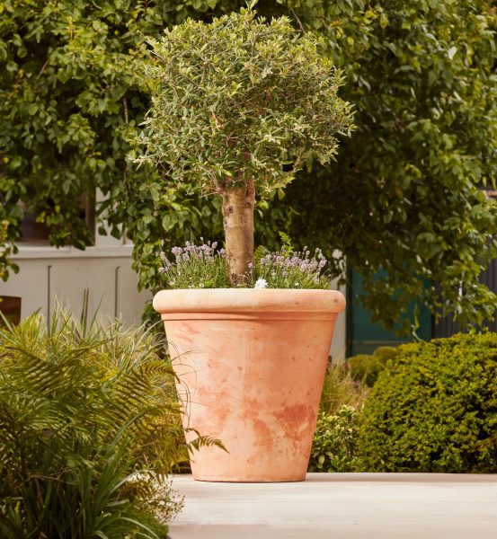 Clayton_Extra_Large_Terracotta_Pot_1