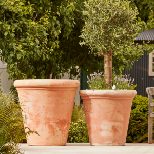 Clayton_Extra_Large_Terracotta_Pots