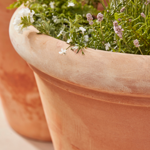 Clayton_Extra_Large_Terracotta_Pots_close_up_shot