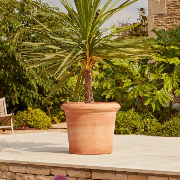 FlorenceLargeItalianTerracottaPlantPot