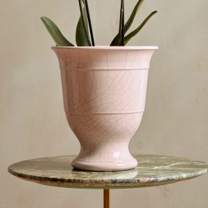 Freya_indoor_plant_pot_close_up_pink